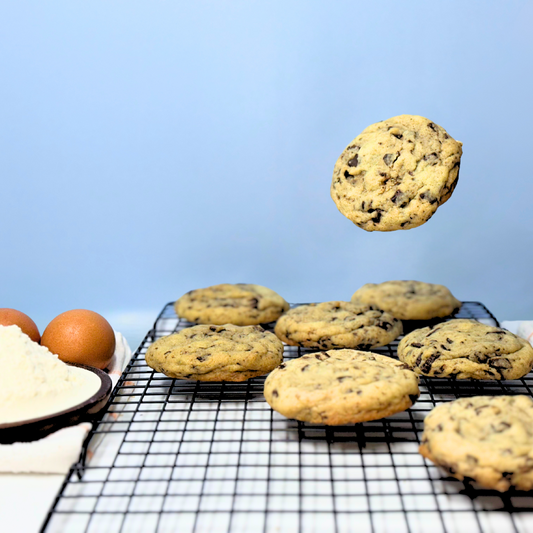 Cocoa Cookies